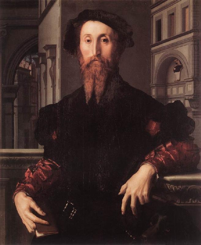 BRONZINO, Agnolo Portrait of Bartolomeo Panciatichi g china oil painting image